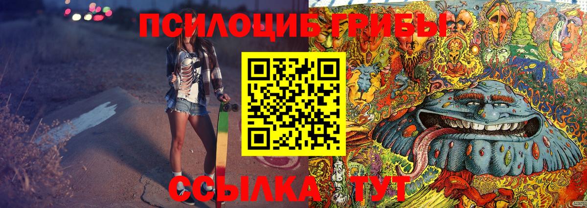 Псилоцибиновые грибы Psilocybe  Вход с VPN  Урус-Мартан 